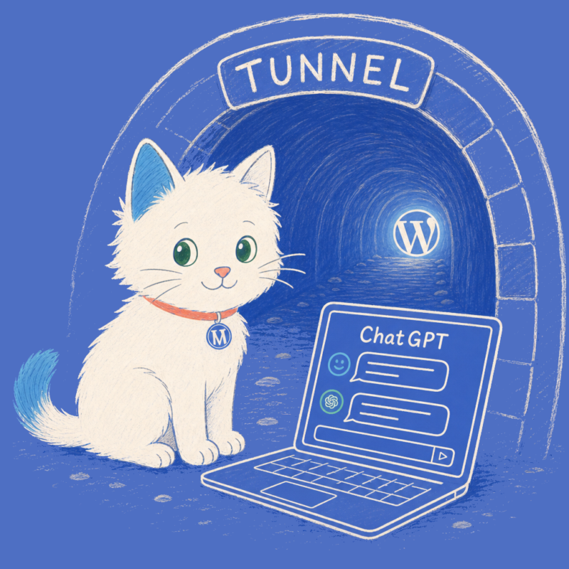 Hand-drawn illustration of the Meow Apps cat at the entrance of a Cloudflare tunnel.