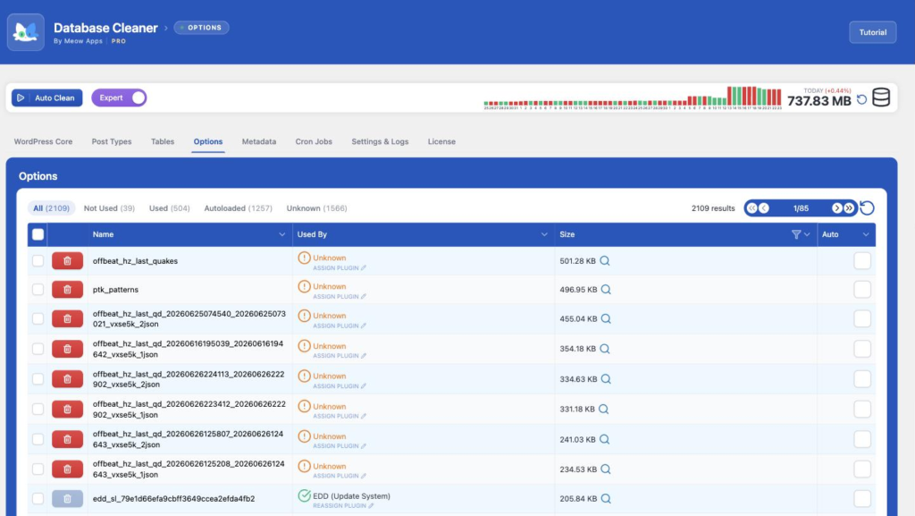 Database Cleaner — Options