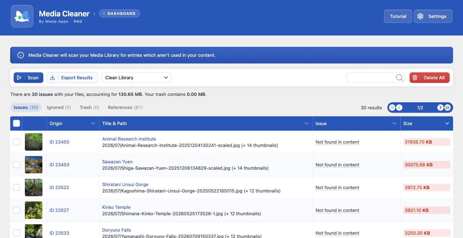 The Media Cleaner dashboard listing 30 flagged media entries with their origin, path, issue and size