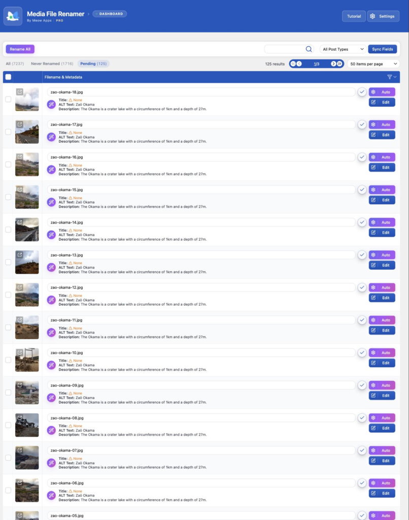 Media File Renamer — Dashboard