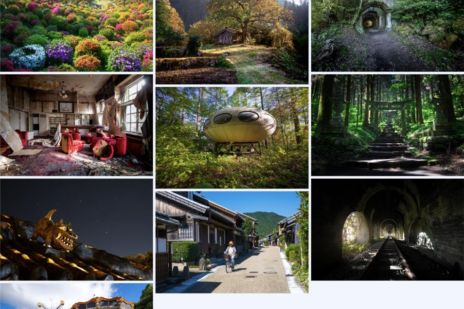 Meow Gallery — Masonry layout