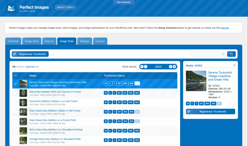 Perfect Images plugin dashboard showing the Image Tools tab with thumbnail status badges, media list, and sidebar details