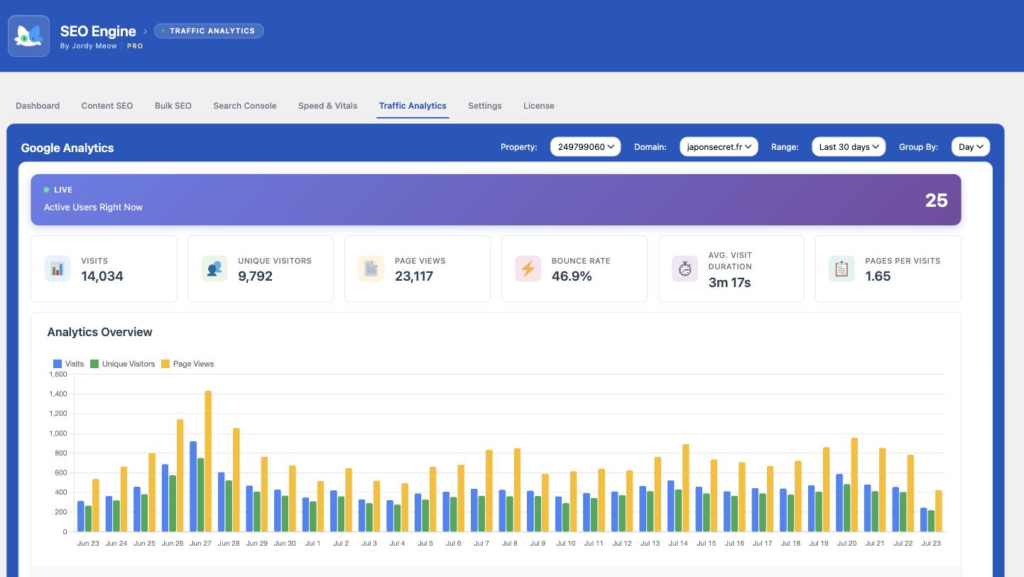 SEO Engine — Traffic Analytics